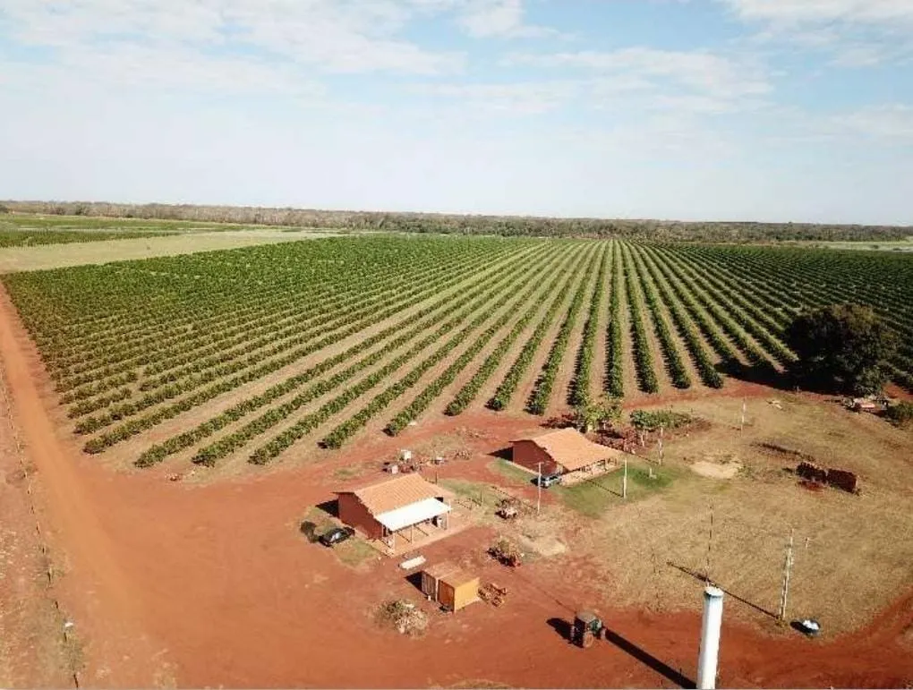 Fazenda à venda e para Arrendar de 158 ha em Cardoso, SP, Brasil