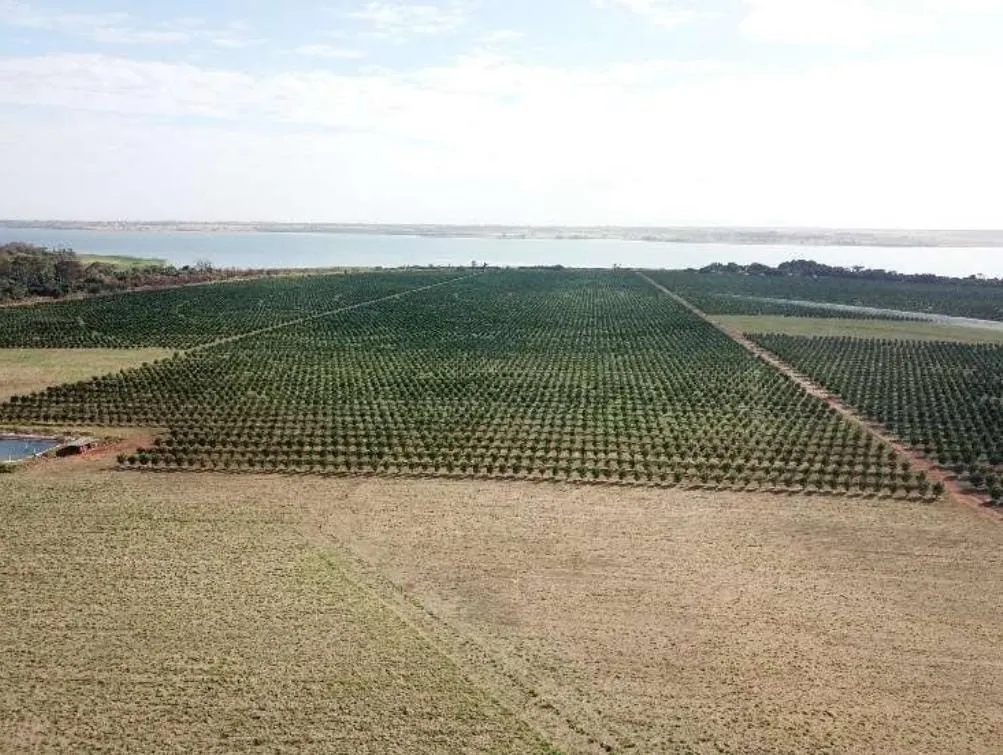 Fazenda à venda e para Arrendar de 158 ha em Cardoso, SP, Brasil