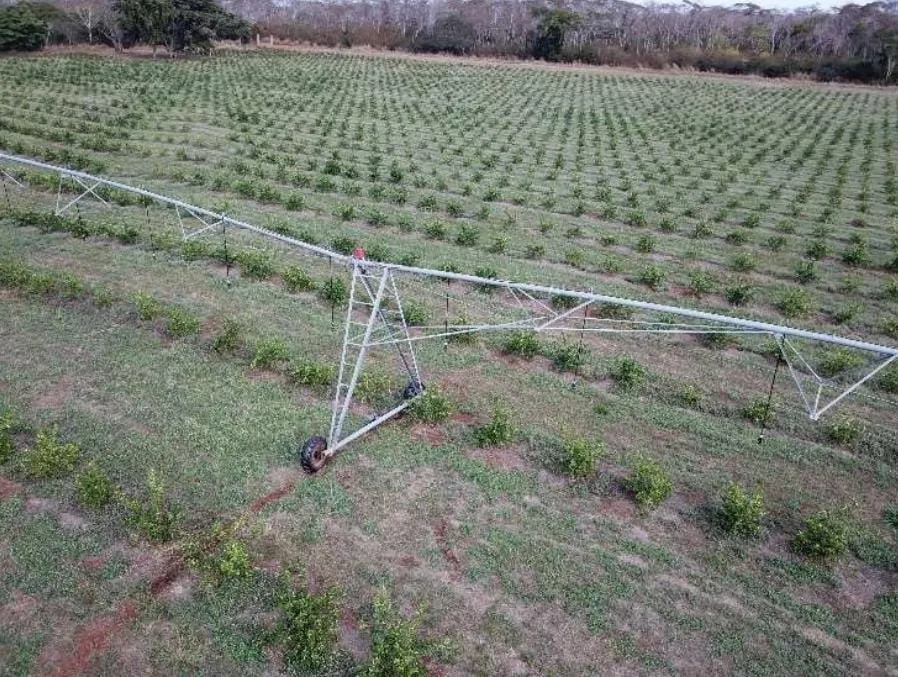 Fazenda à venda e para Arrendar de 158 ha em Cardoso, SP, Brasil