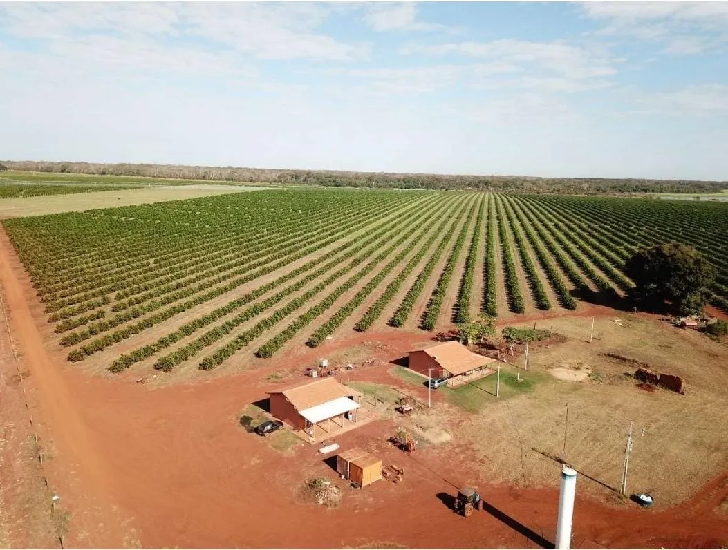 Fazenda à venda e para Arrendar de 158 ha em Cardoso, SP, Brasil