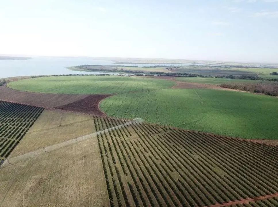 Fazenda à venda e para Arrendar de 158 ha em Cardoso, SP, Brasil