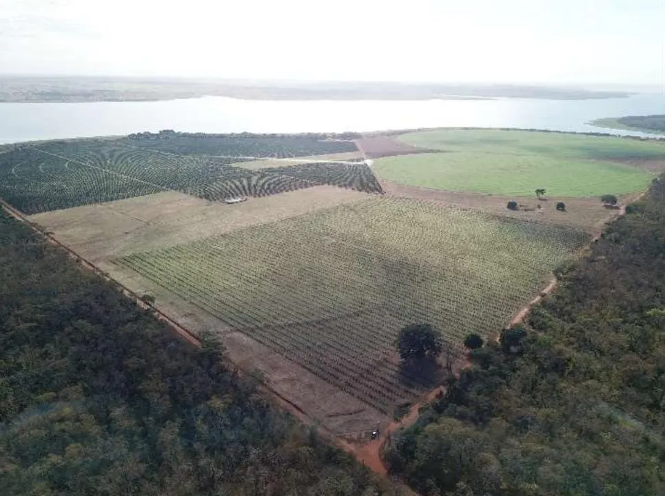 Fazenda à venda e para Arrendar de 158 ha em Cardoso, SP, Brasil
