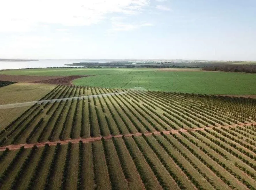Fazenda à venda e para Arrendar de 158 ha em Cardoso, SP, Brasil