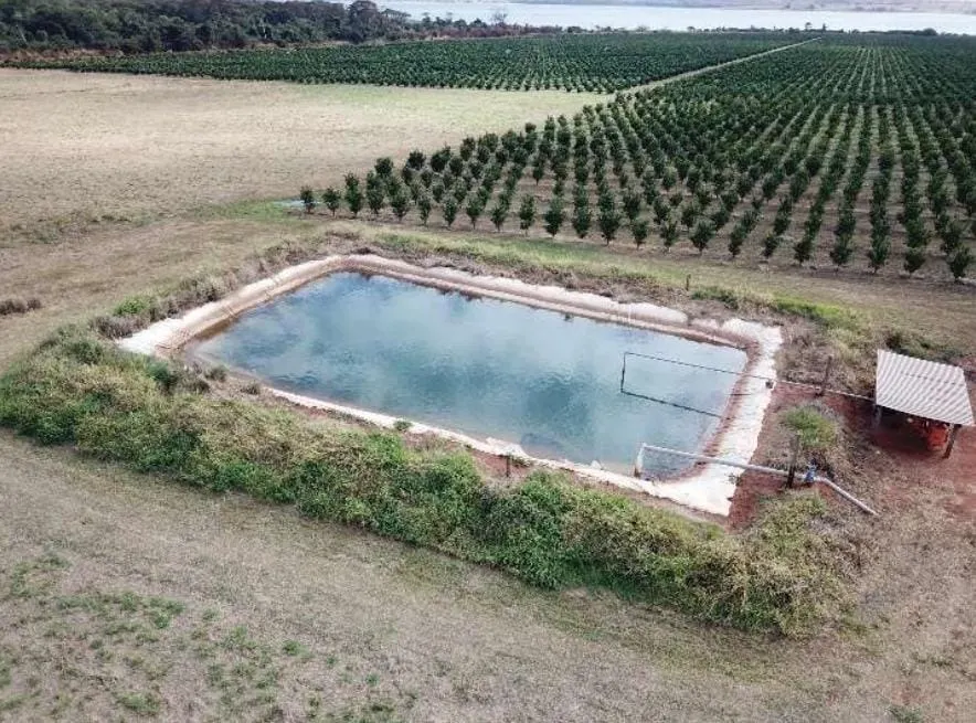 Fazenda à venda e para Arrendar de 158 ha em Cardoso, SP, Brasil