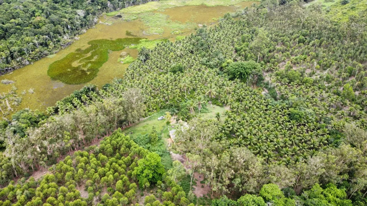Sítio à venda de 18 ha em São Mateus, ES, Brasil