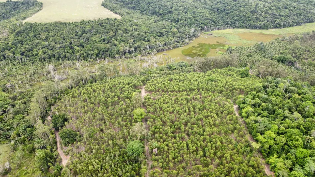 Sítio à venda de 18 ha em São Mateus, ES, Brasil