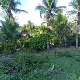 Sítio à venda de 18 ha em São Mateus, ES, Brasil