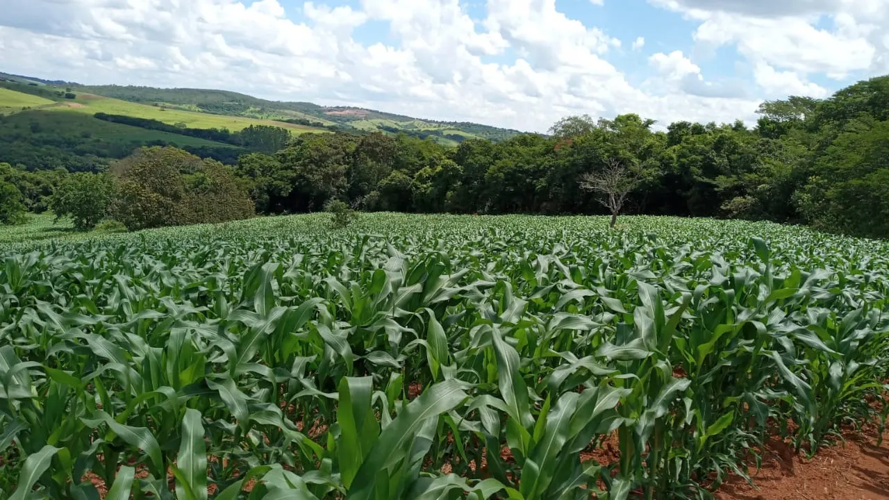 Fazenda à venda de 134 ha em Bom Sucesso, MG, Brasil