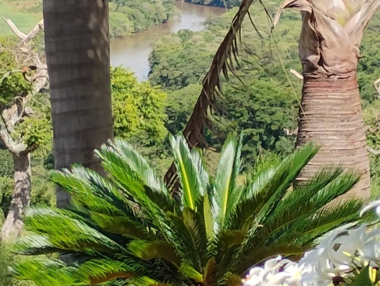 Fazenda à venda de 134 ha em Bom Sucesso, MG, Brasil