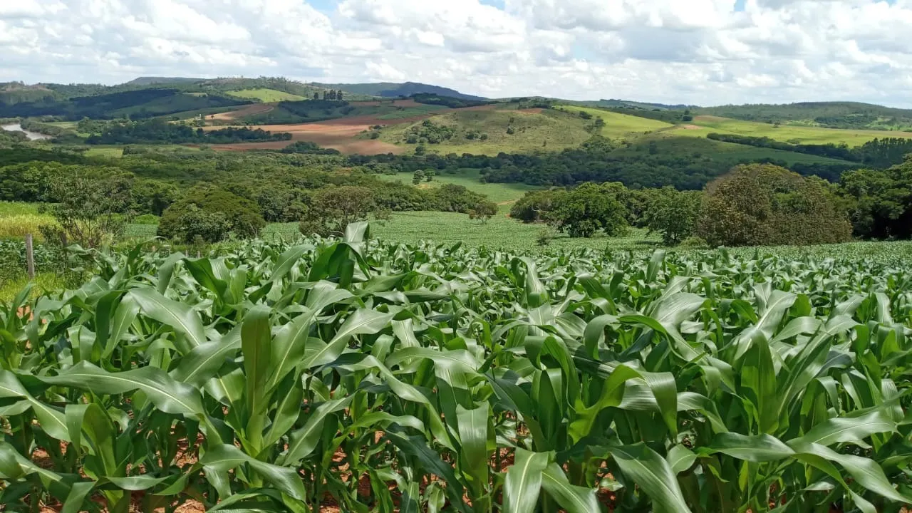 Fazenda à venda de 134 ha em Bom Sucesso, MG, Brasil