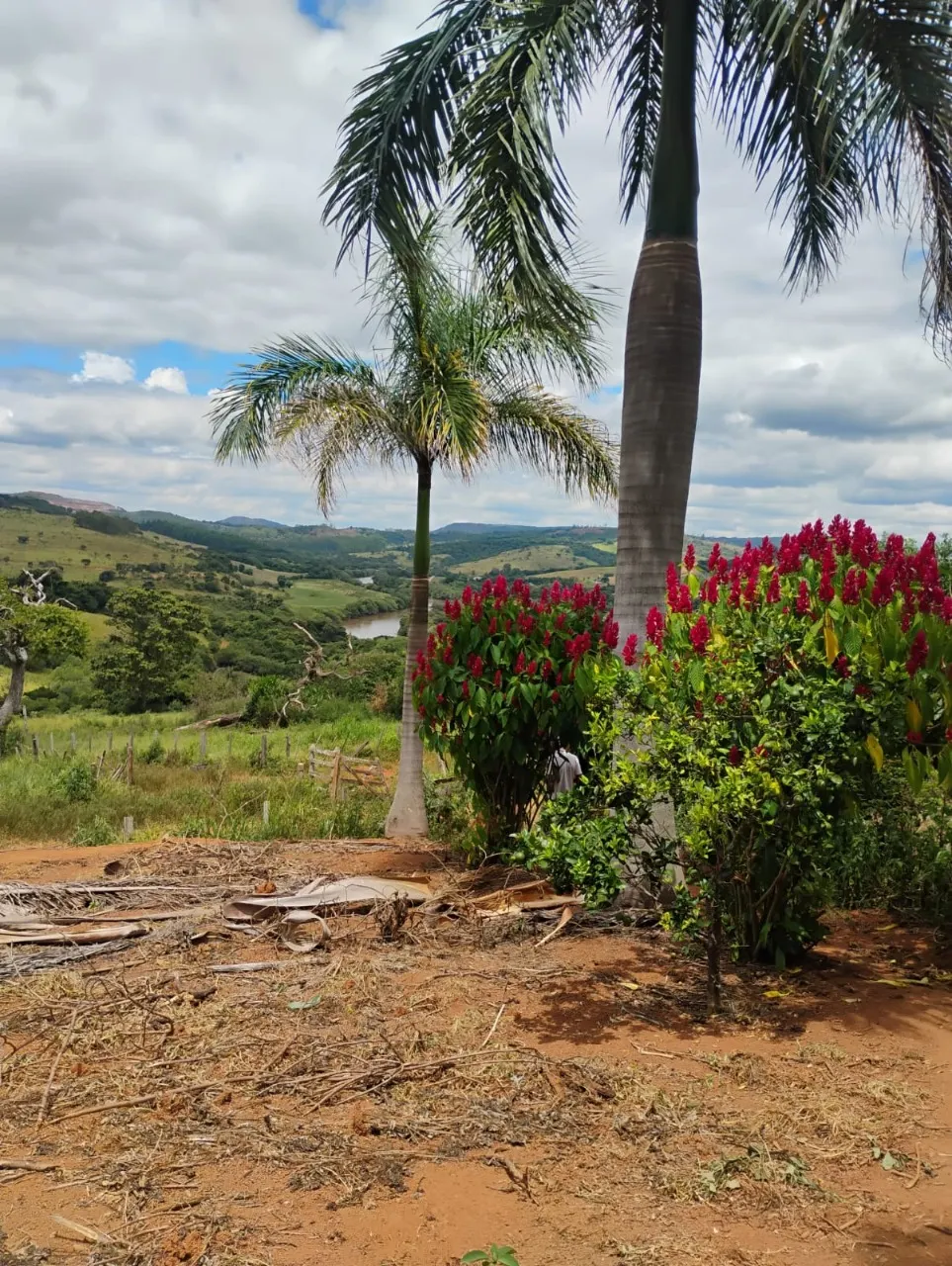 Fazenda à venda de 134 ha em Bom Sucesso, MG, Brasil