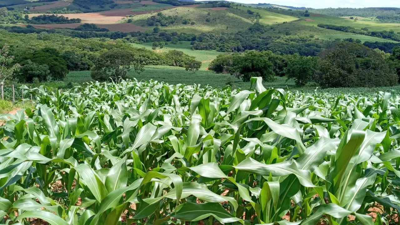 Fazenda à venda de 134 ha em Bom Sucesso, MG, Brasil