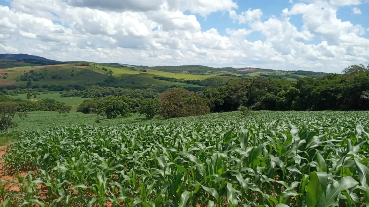 Fazenda à venda de 134 ha em Bom Sucesso, MG, Brasil