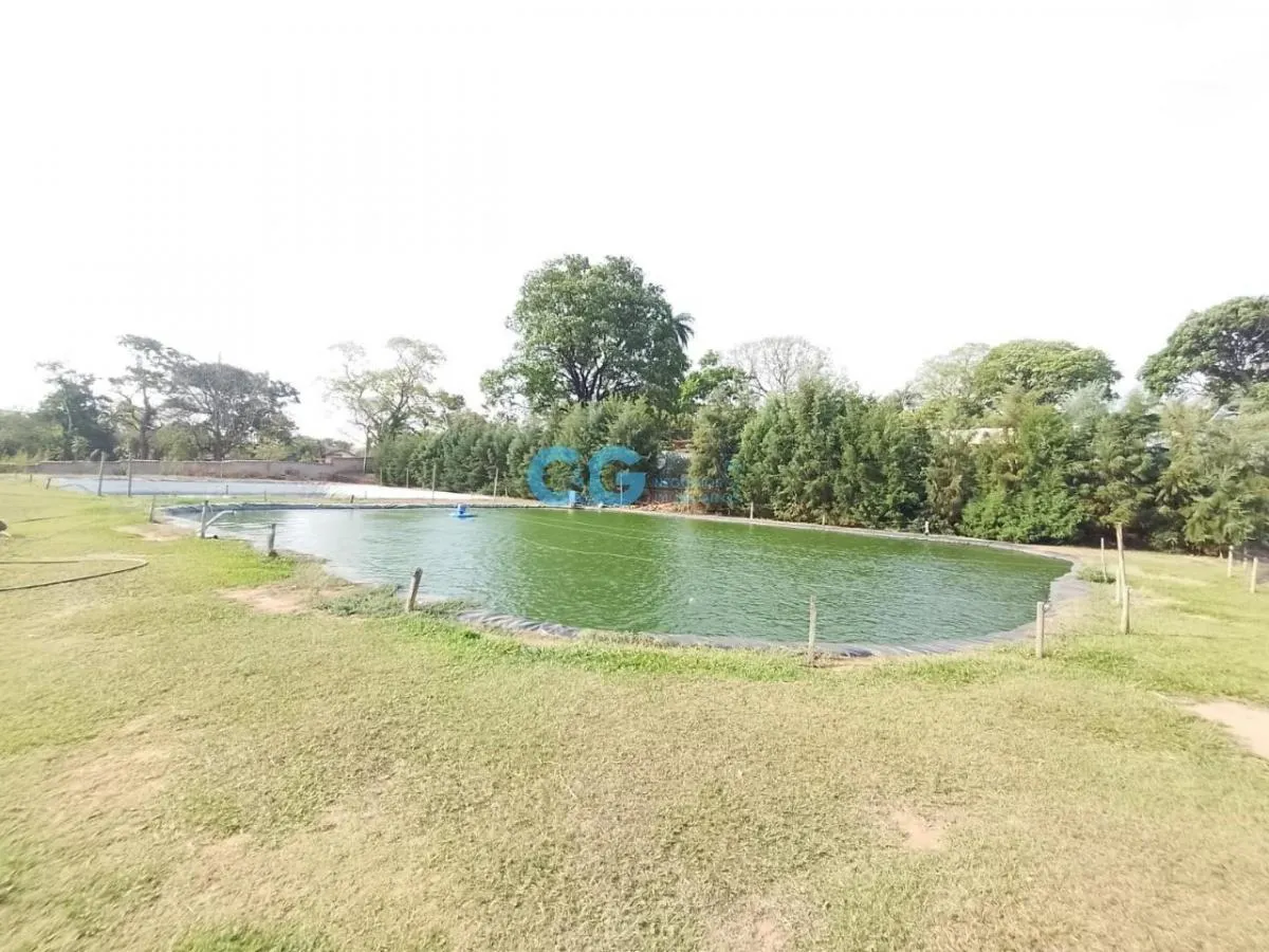 Sítio à venda de 5 ha em Aguaí, SP, Brasil