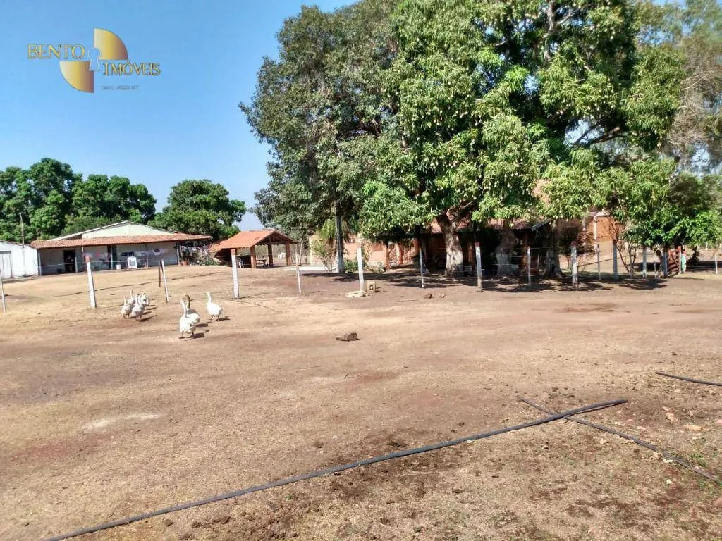 Farm for sale of 3,039 acres in Jangada, MT, Brazil
