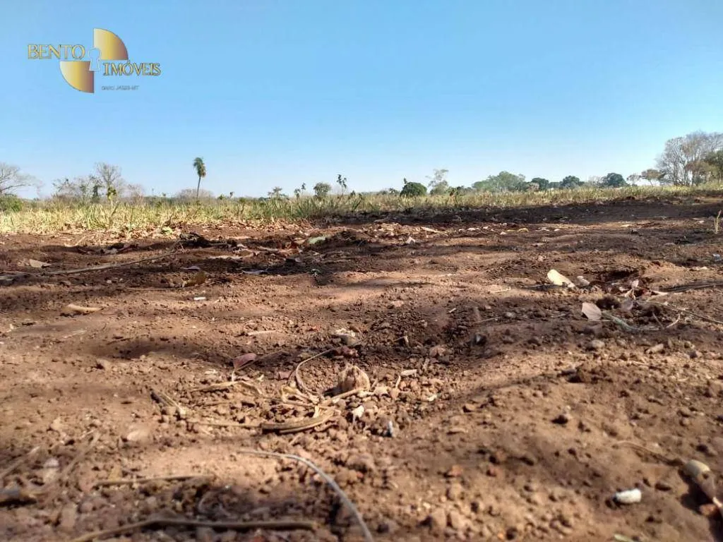 Farm for sale of 3,039 acres in Jangada, MT, Brazil
