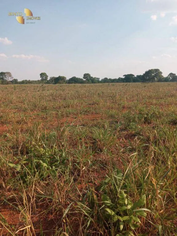 Farm for sale of 3,039 acres in Jangada, MT, Brazil