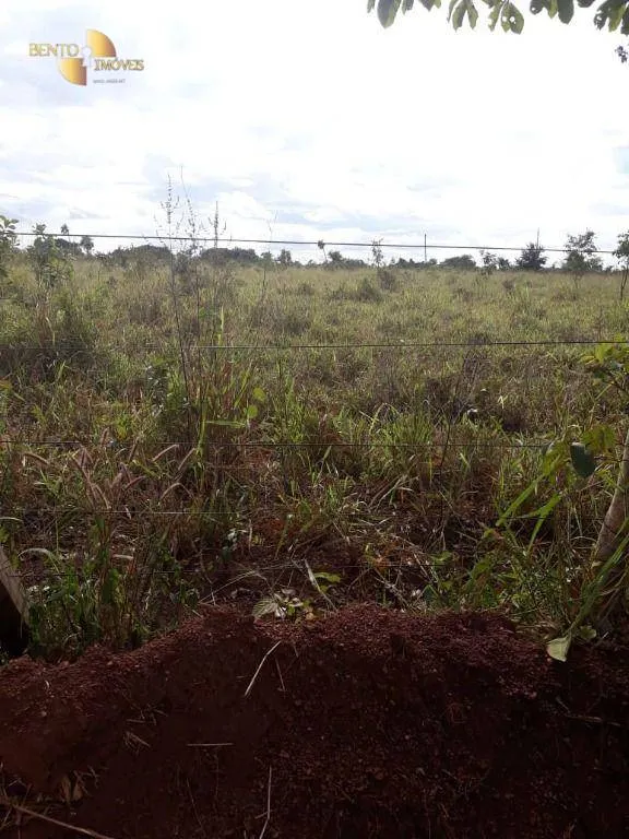 Farm for sale of 3,039 acres in Jangada, MT, Brazil
