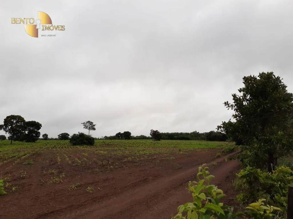 Farm for sale of 3,039 acres in Jangada, MT, Brazil