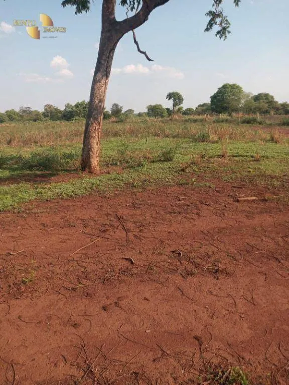 Farm for sale of 3,039 acres in Jangada, MT, Brazil