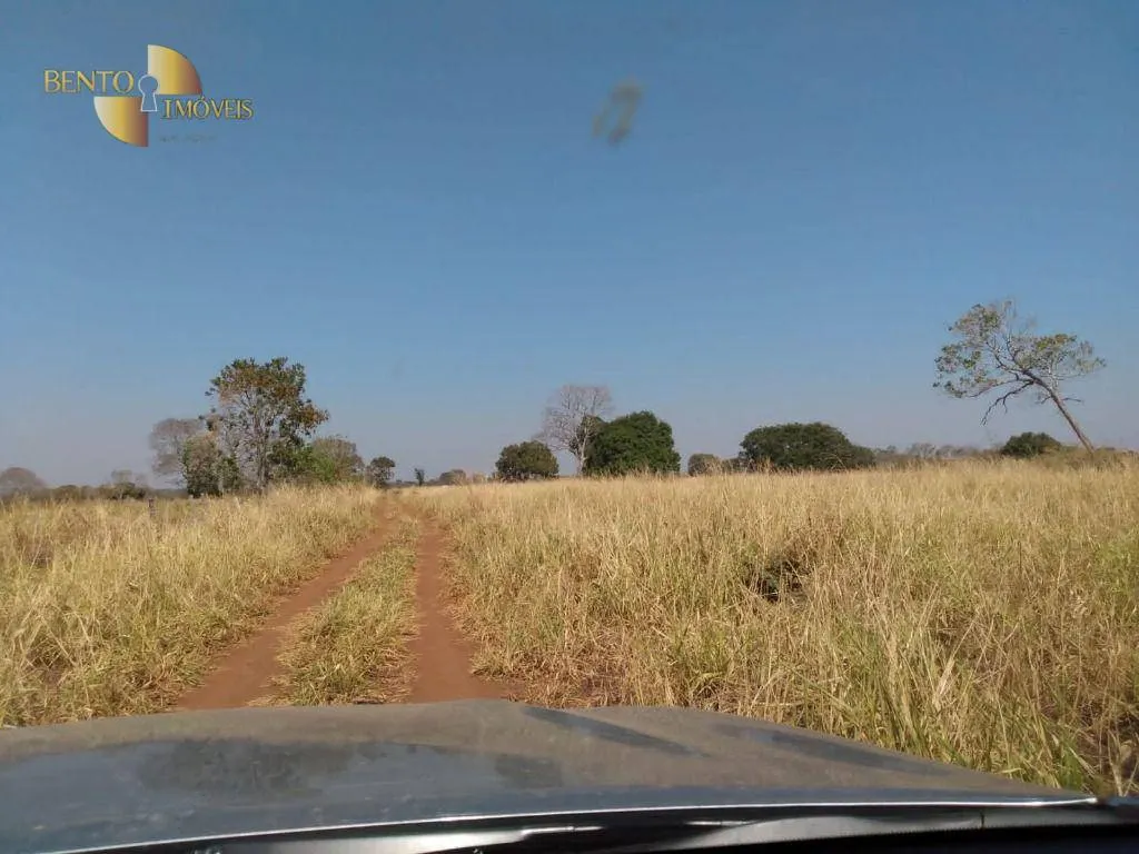 Farm for sale of 3,039 acres in Jangada, MT, Brazil