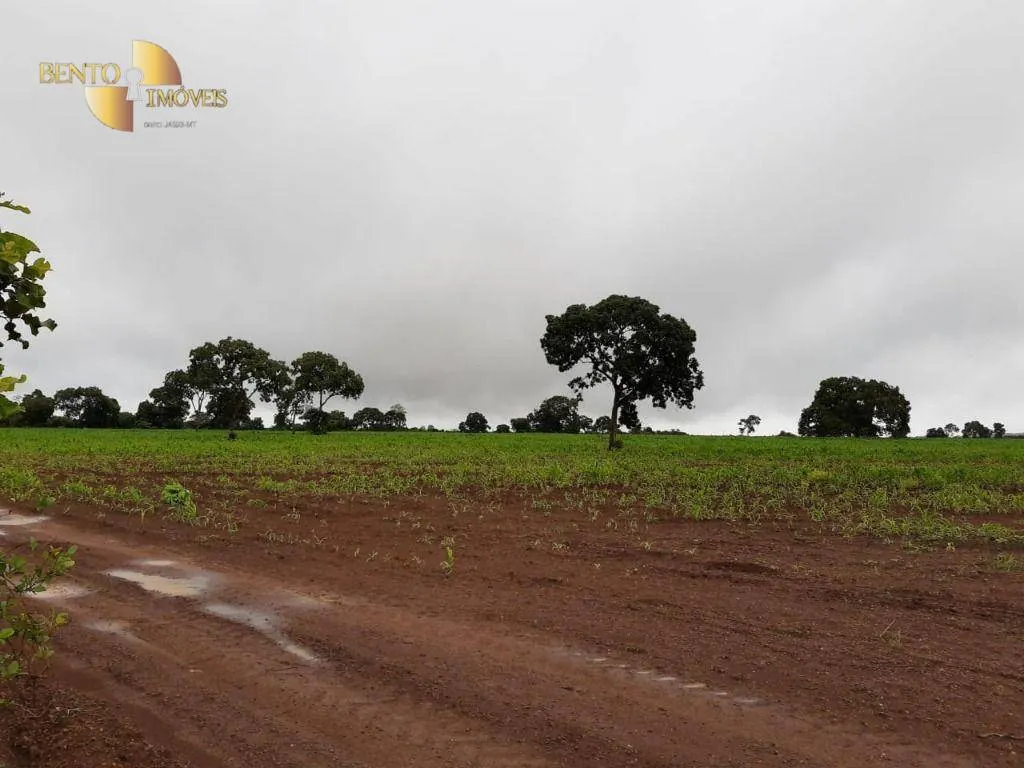 Farm for sale of 3,039 acres in Jangada, MT, Brazil