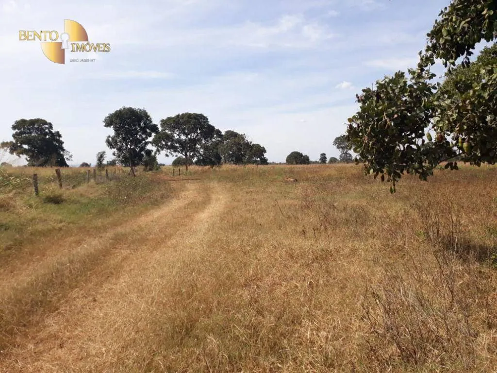 Farm for sale of 3,039 acres in Jangada, MT, Brazil