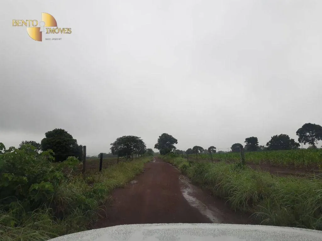 Farm for sale of 3,039 acres in Jangada, MT, Brazil