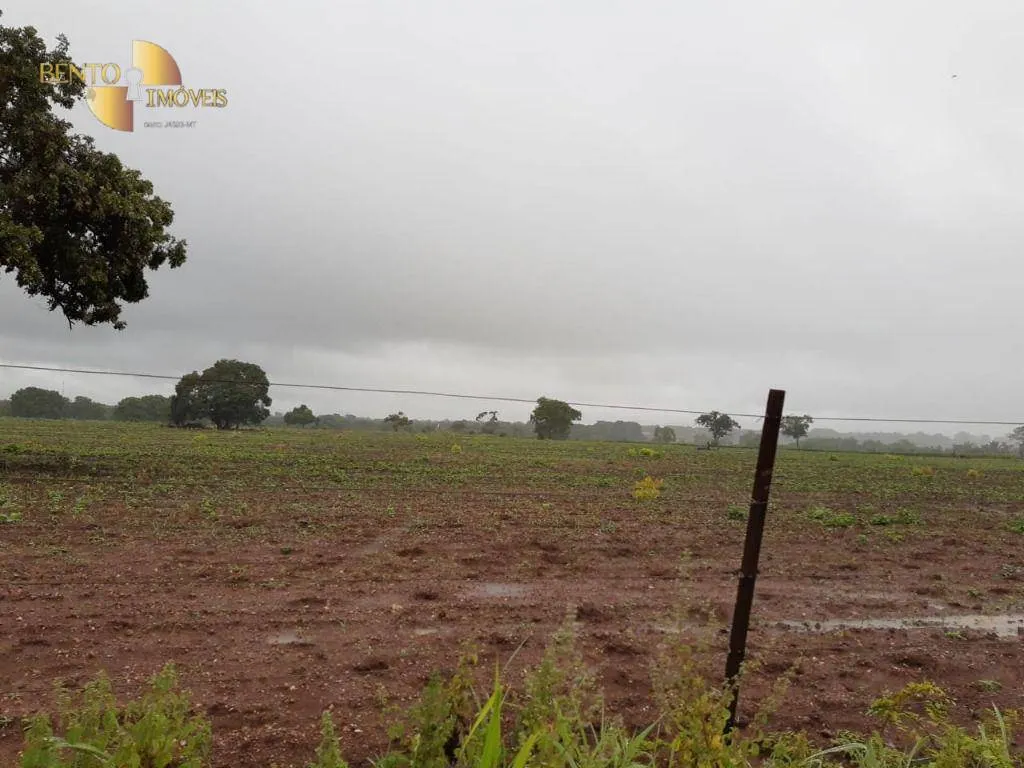 Farm for sale of 3,039 acres in Jangada, MT, Brazil