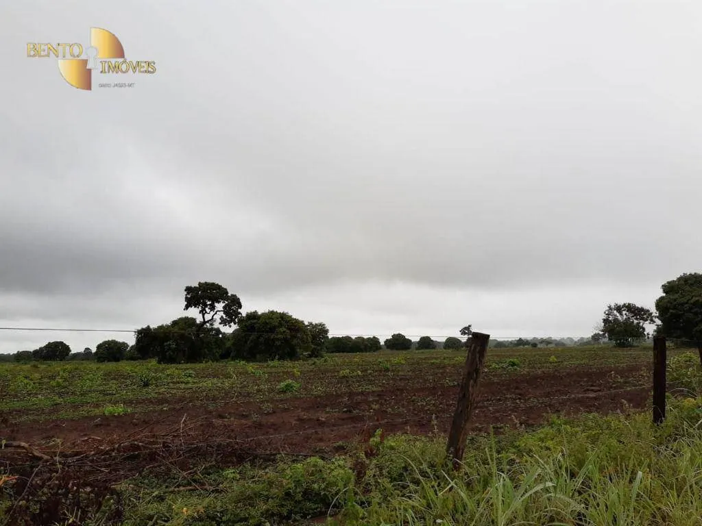 Farm for sale of 3,039 acres in Jangada, MT, Brazil