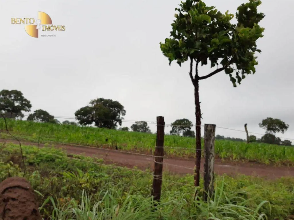 Farm for sale of 3,039 acres in Jangada, MT, Brazil