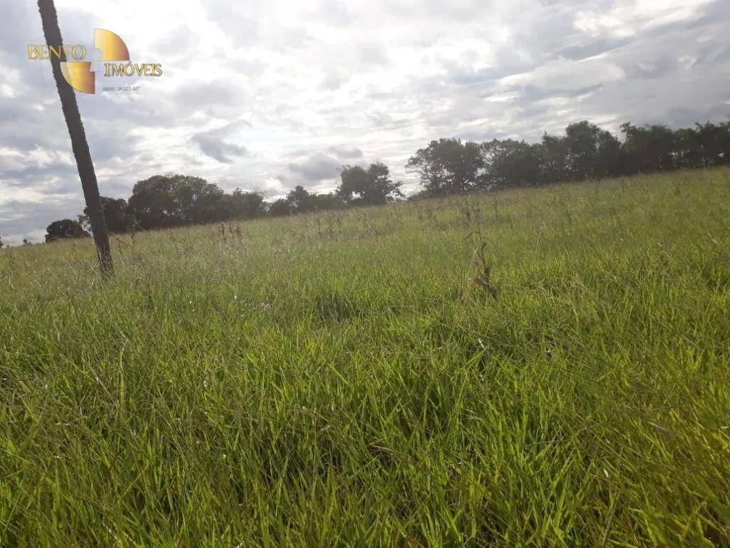 Farm for sale of 3,039 acres in Jangada, MT, Brazil