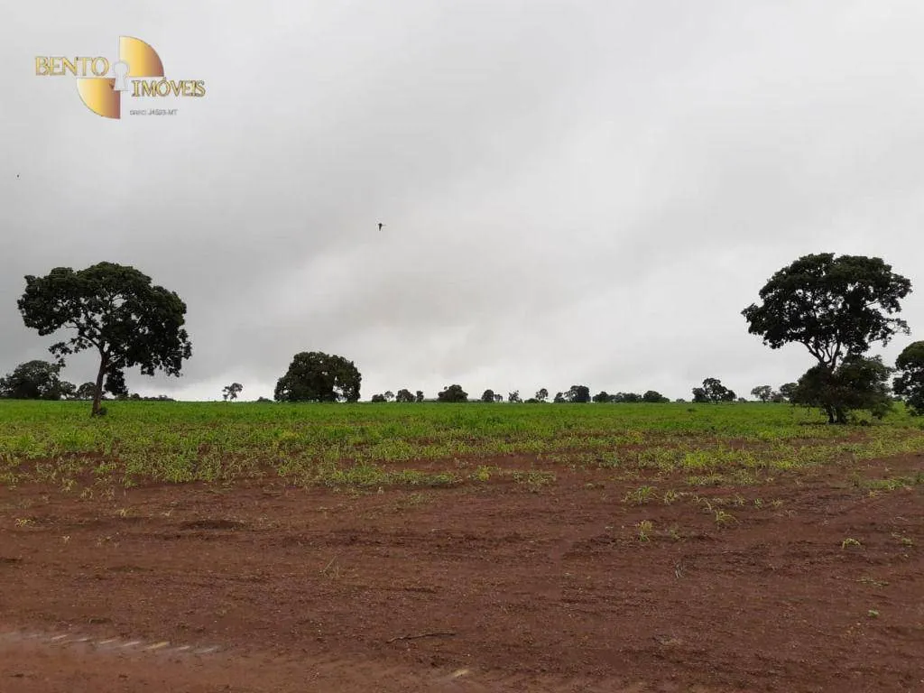 Farm for sale of 3,039 acres in Jangada, MT, Brazil