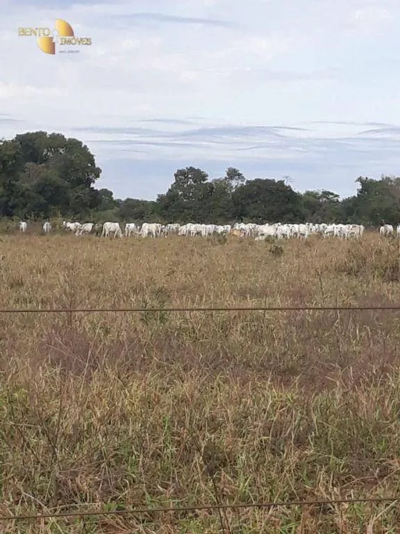 Farm for sale of 3,039 acres in Jangada, MT, Brazil