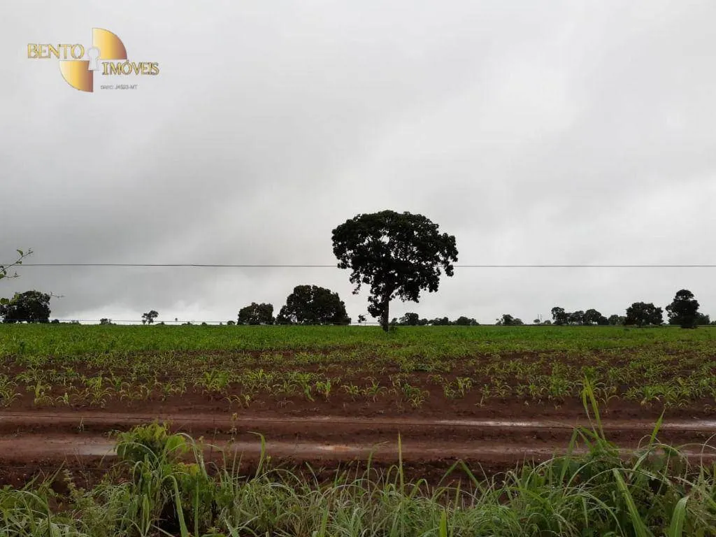 Farm for sale of 3,039 acres in Jangada, MT, Brazil