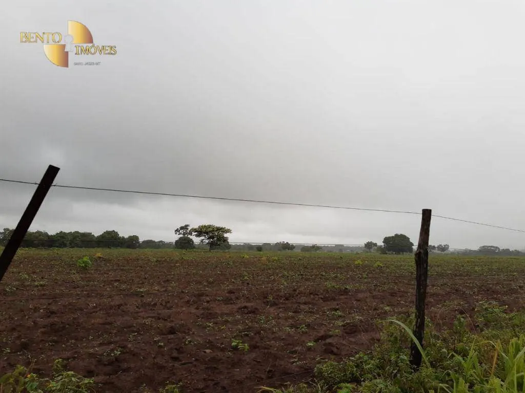 Farm for sale of 3,039 acres in Jangada, MT, Brazil