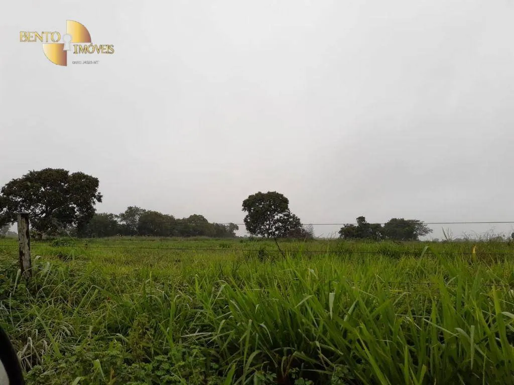 Farm for sale of 3,039 acres in Jangada, MT, Brazil