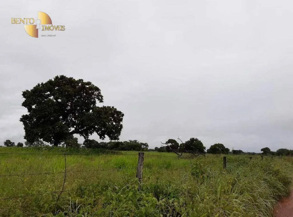 Farm for sale of 3,039 acres in Jangada, MT, Brazil