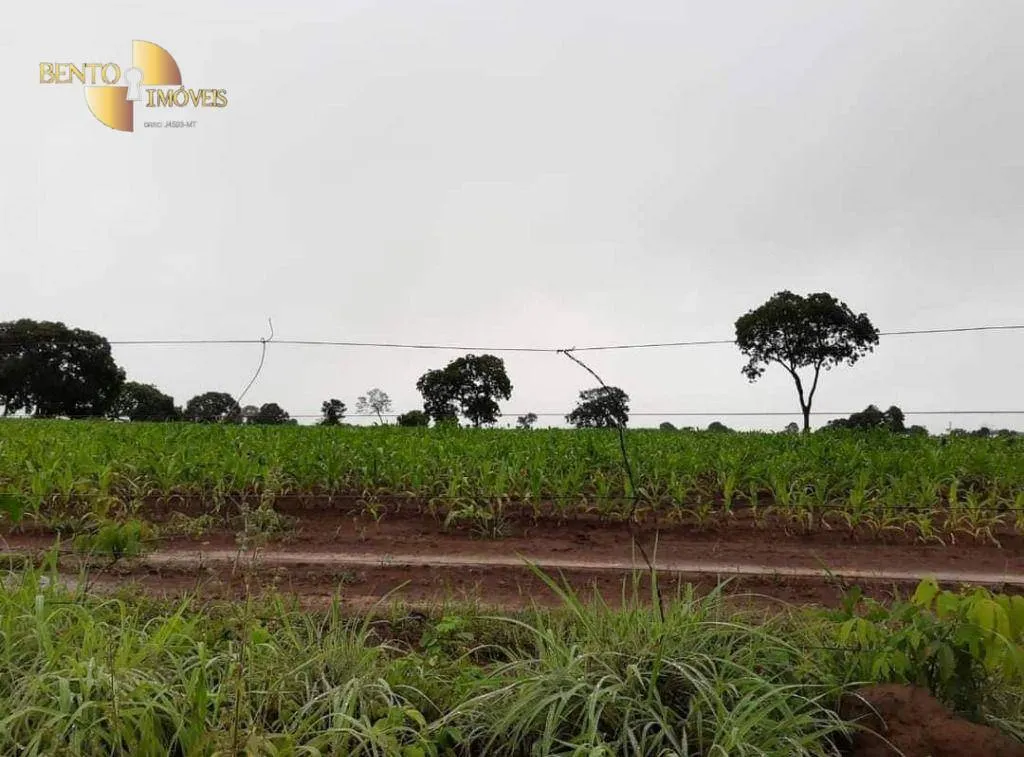 Farm for sale of 3,039 acres in Jangada, MT, Brazil