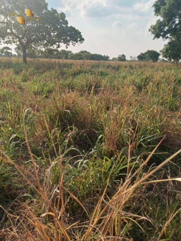 Farm for sale of 3,039 acres in Jangada, MT, Brazil