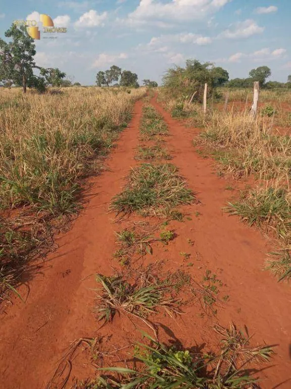 Farm for sale of 3,039 acres in Jangada, MT, Brazil