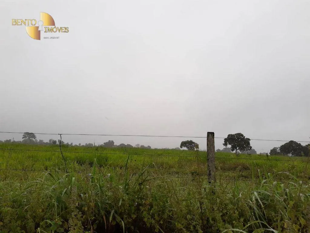 Farm for sale of 3,039 acres in Jangada, MT, Brazil