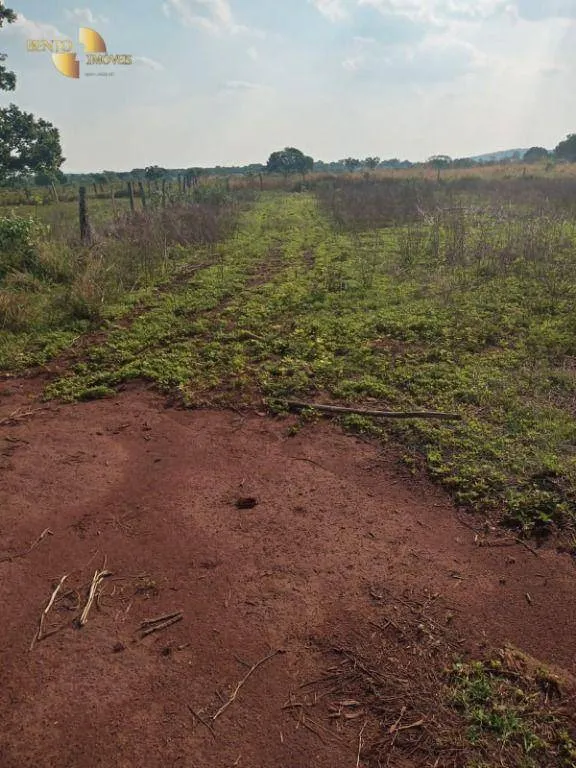 Farm for sale of 3,039 acres in Jangada, MT, Brazil