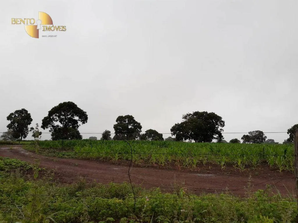 Farm for sale of 3,039 acres in Jangada, MT, Brazil