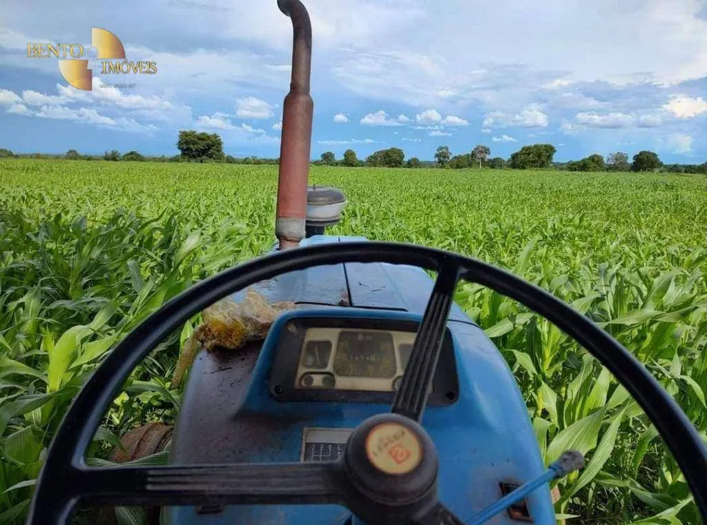Farm for sale of 3,039 acres in Jangada, MT, Brazil