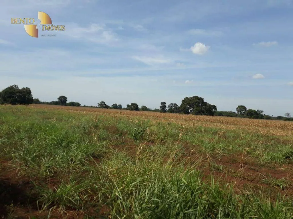 Farm for sale of 3,039 acres in Jangada, MT, Brazil