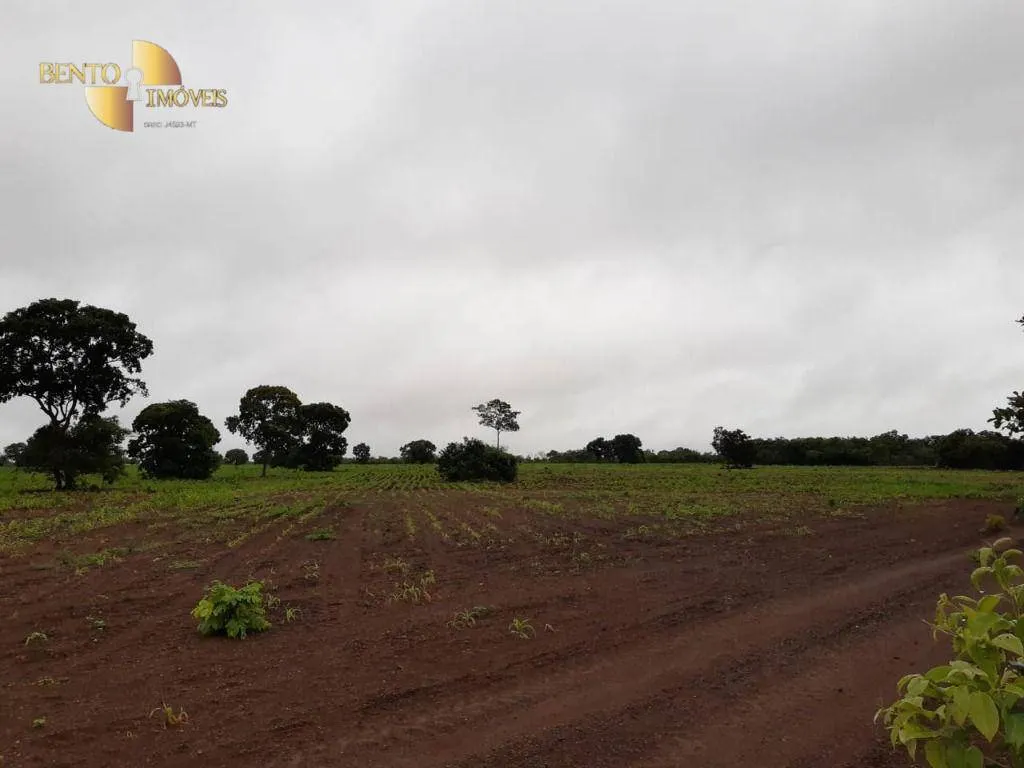 Farm for sale of 3,039 acres in Jangada, MT, Brazil