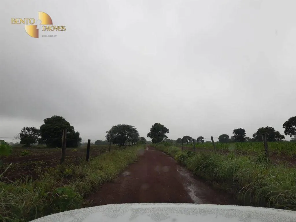 Farm for sale of 3,039 acres in Jangada, MT, Brazil