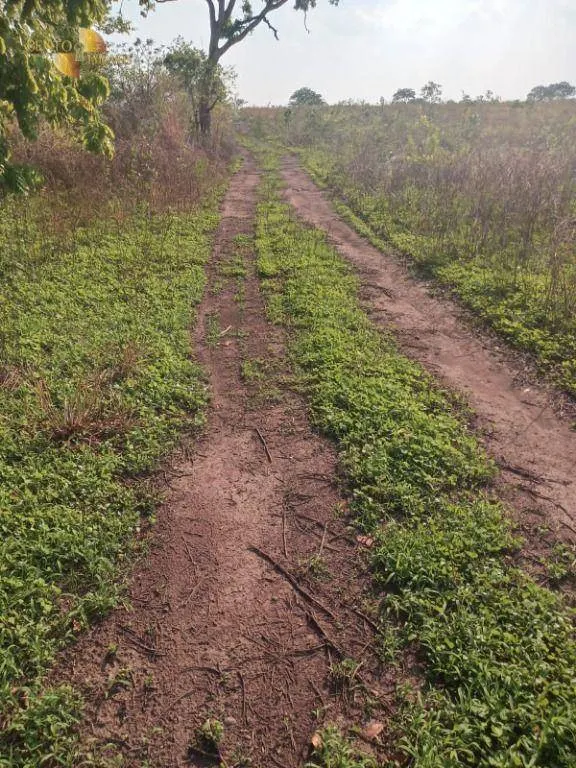 Farm for sale of 3,039 acres in Jangada, MT, Brazil