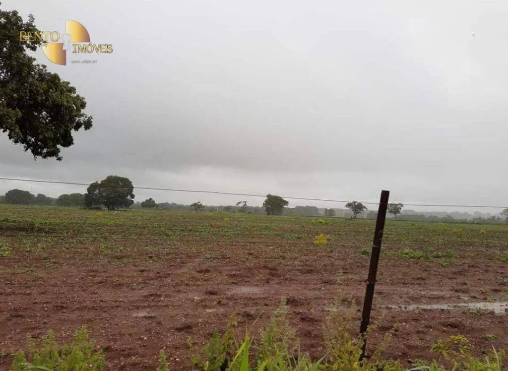Farm for sale of 3,039 acres in Jangada, MT, Brazil